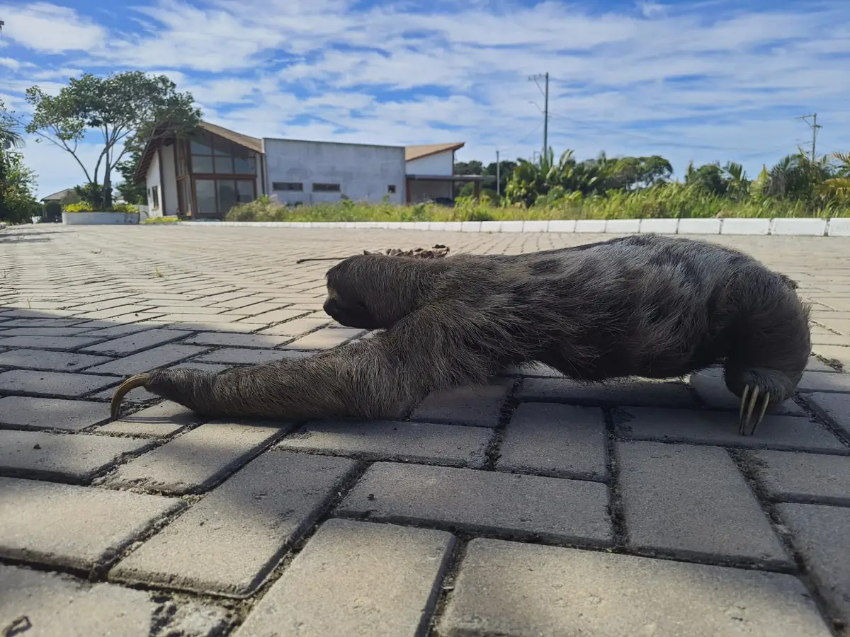 Um morador do condomínio atravessando a rua