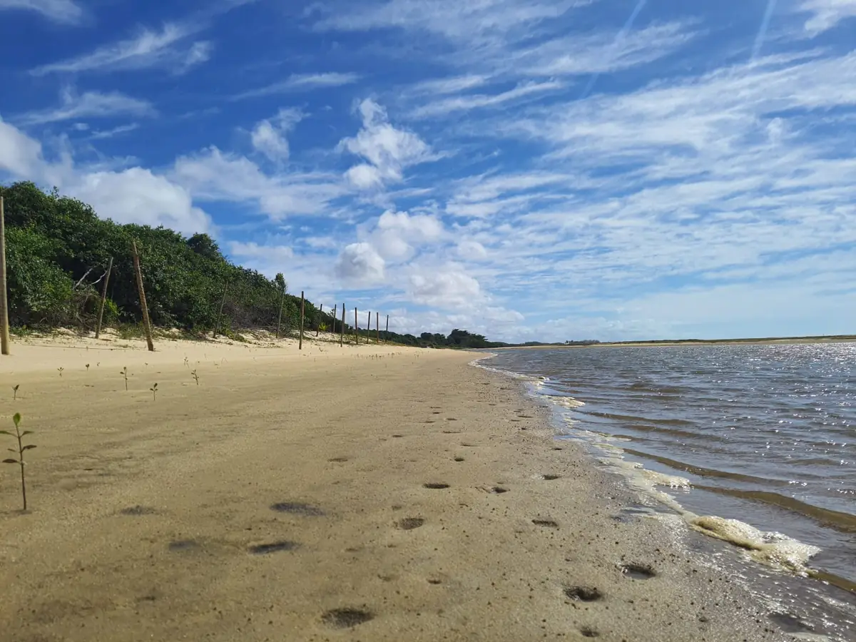 Onde o rio encontra o mar